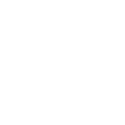 Expose Designs Logo